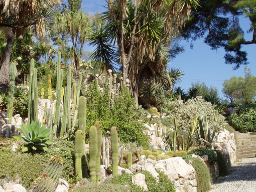 Ecco la primavera a Nizza: sabato c'è La bourse aux plantes ai Jardin botanique