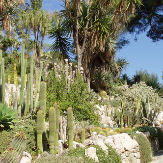 Ecco la primavera a Nizza: sabato c'è La bourse aux plantes ai Jardin botanique