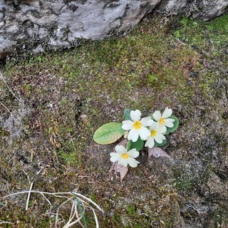 Gorges du Loup, il sentiero. Fotografie di Danilo Radaelli