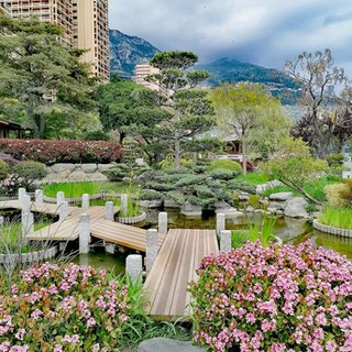 Il Giardino Giapponese del Principato di Monaco, fotografie di Luisella Cappio