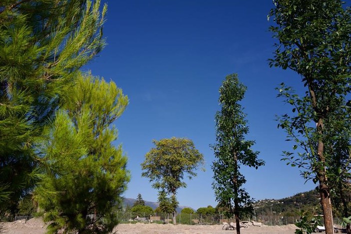 Prime piantumazioni nel Grand Parc de la Plaine du Var di Nizza - @Ville de Nice Prime piantumazioni nel Grand Parc de la Plaine du Var di Nizza - @Ville de Nice