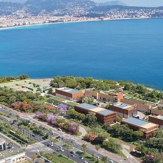 Haliotis 2 negli elaborati progettuali