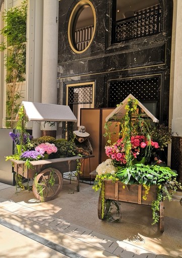 "Ditelo con i fiori" di Luisella Cappio