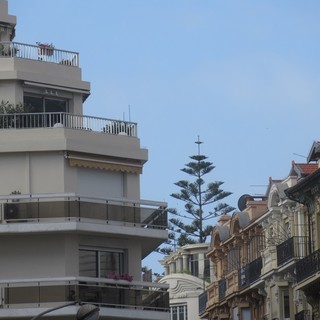 "Illusione ottica" di Piero Macario