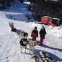 Inverno...da cani a Auron e Isola 2000 @OTP NCA/MR