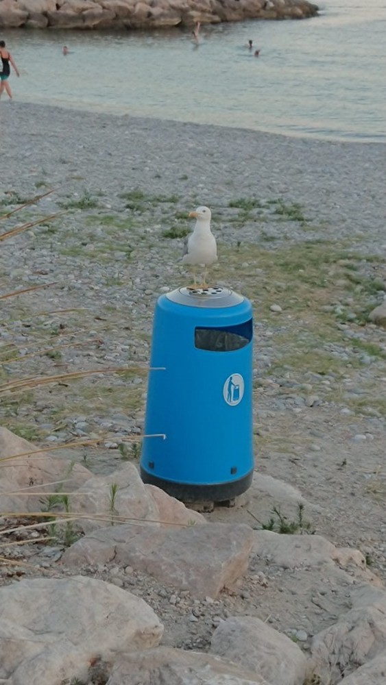 "In attesa della cena", fotografia di Luciano Tomasi "In attesa della cena", fotografia di Luciano Tomasi