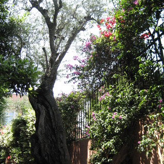 Il meriggio di Saint Jean Cap Ferrat. Immagini
