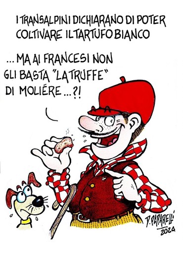 Quando una vignetta vale come mille editoriali Quando una vignetta vale come mille editoriali