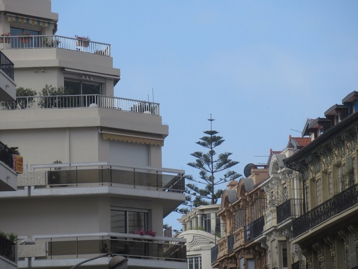 "Illusione ottica" di Piero Macario