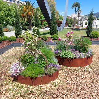 "Il trionfo della natura", di Patrizia Gallo