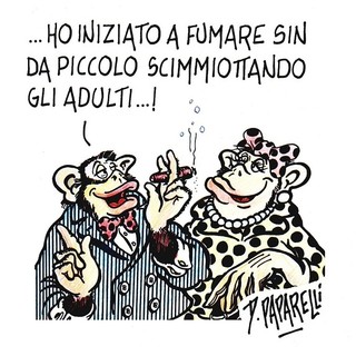Quando una vignetta vale come mille editoriali