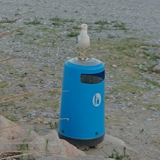 "In attesa della cena", fotografia di Luciano Tomasi
