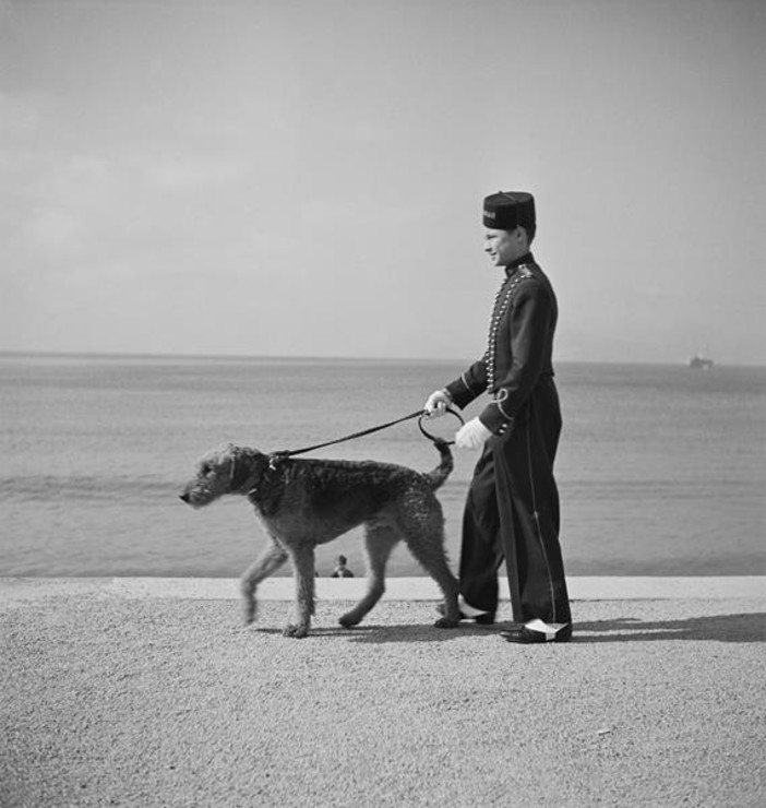 I Séeberger celebrano Cannes I Séeberger celebrano Cannes