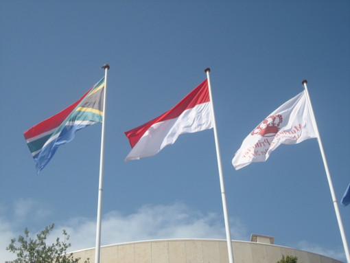 L'immagine del matrimonio principesco: le bandiere del Sudafrica e quelle di Monaco