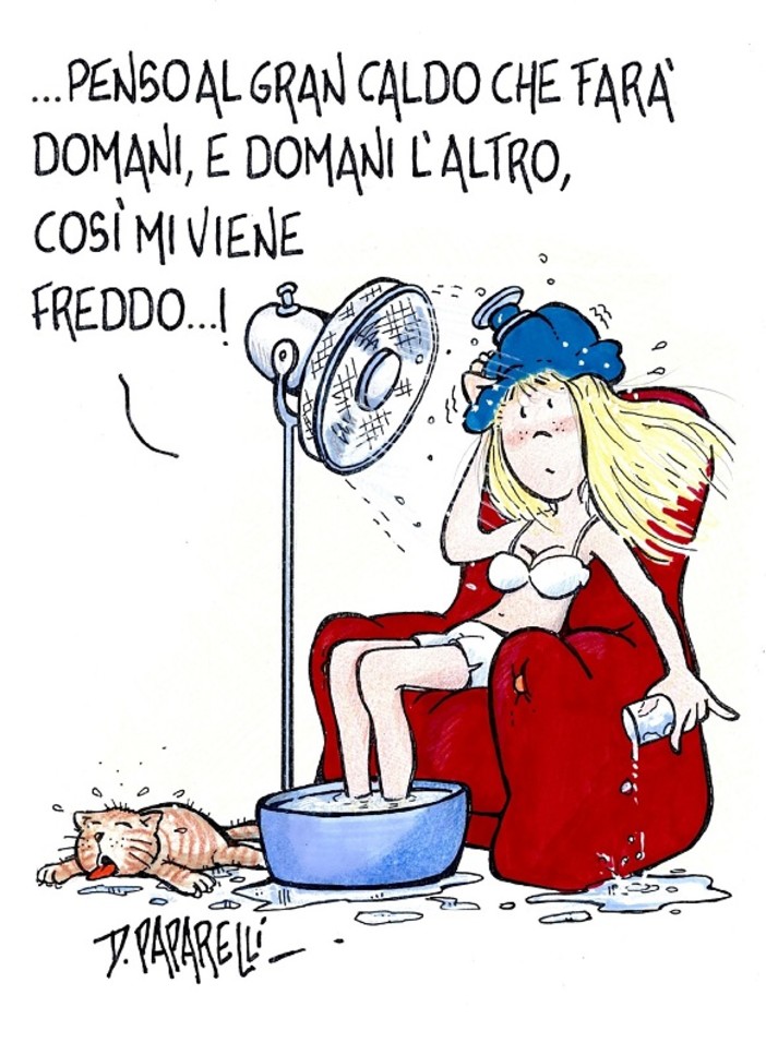 Quando una vignetta vale come mille editoriali