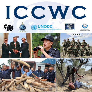 Ministro Tonelli: "I crimini contro le specie protette devono essere duramente combattuti"