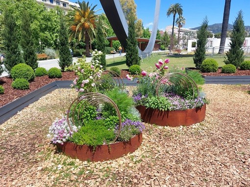 "Il trionfo della natura", di Patrizia Gallo