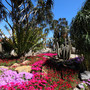 Jardin Exotique de Monaco