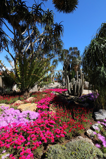 Jardin Exotique de Monaco