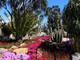 Jardin Exotique de Monaco Jardin Exotique de Monaco