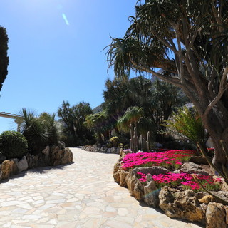 Il Giardino Esotico di Monaco: un giardino eccezionale tra cielo e mare