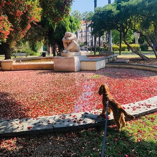"Mille colori", fotografia di Patrizia Savarese