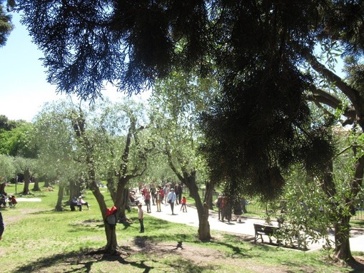 Jardin des Arènes de Cimiez
