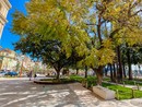Cannes, Jardin Christian Bridoux @Ville de Cannes Cannes, Jardin Christian Bridoux @Ville de Cannes