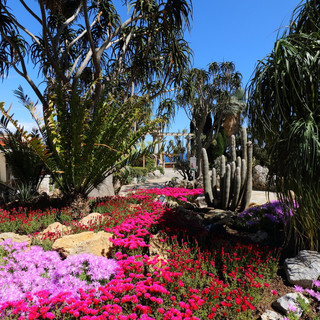 Riapertura del Giardino Esotico di Monaco
