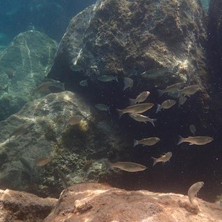 Sottocosta …a cura di Ghjuvan Pasquale