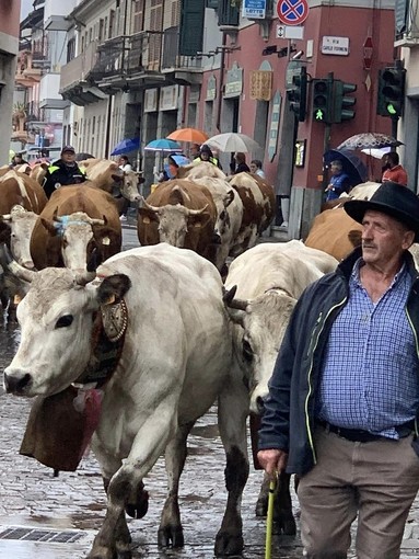 Carignano (TO): la Sagra del Ciapinabò batte anche la pioggia