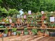 Il Festival des Jardins a Mentone dura sino al 1^ maggio