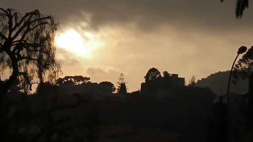 "Controluce" di Luciano Tomasi