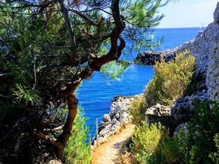 Le sentier littoral "Tire-poil" au Cap d'Antibes Le sentier littoral "Tire-poil" au Cap d'Antibes