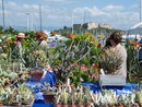 Antibes, les Floralies 2025