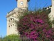 "Liceo fiorito". di Alba Fiorini "Liceo fiorito". di Alba Fiorini