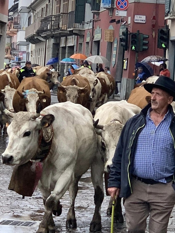 Carignano (TO): la Sagra del Ciapinabò batte anche la pioggia
