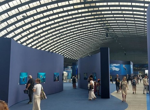 La Baleinn a Nizza. Fotografie di Patrizia Gallo e Danilo Radaelli La Baleinn a Nizza. Fotografie di Patrizia Gallo e Danilo Radaelli