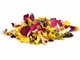 "L'arte di cucinare con i fiori: bellezza e sapori in tavola"