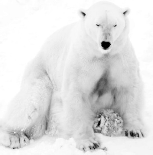 "Le monde hivernal" de Jean-David Murrau