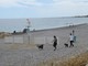 Nizza, spiaggia per cani di Lenval