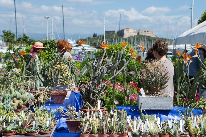 Antibes, les Floralies 2025 Antibes, les Floralies 2025