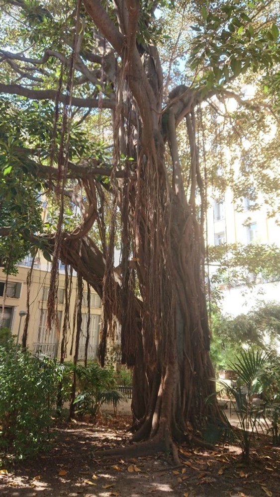 "Natura meravigliosa", fotografia di Luciano Tomasi "Natura meravigliosa", fotografia di Luciano Tomasi