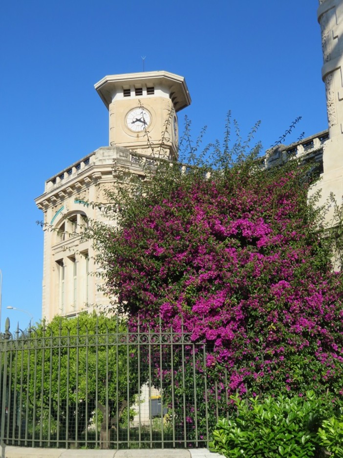 "Liceo fiorito". di Alba Fiorini