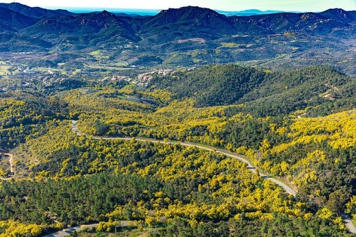 Tra profumi di mimosa e panorami della Costa Azzurra: la passeggiata del Grand Duc a Mandelieu
