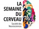 “La settimana del cervello”: un vasto programma di conferenze, mostre, proiezioni e seminari a Nizza intorno alla “cabina di regia” del corpo umano