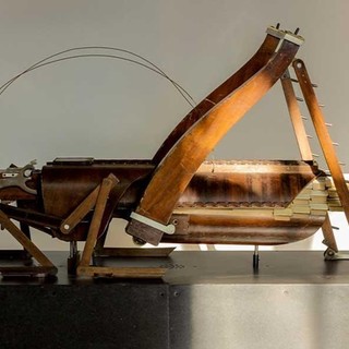 “La symphonie des insectes géants", una mostra all’Espace Culturel Lympia di Nizza