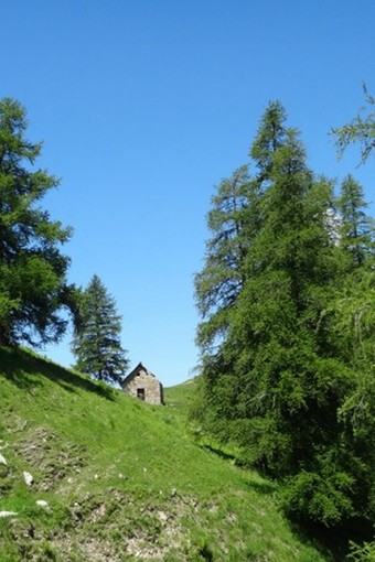 Foto 1: Scoprire il circuit de l'Authion - Foto Office de Tourisme Métropolitain Crédits photos :@ OTM NCA Foto 1: Scoprire il circuit de l'Authion - Foto Office de Tourisme Métropolitain Crédits photos :@ OTM NCA