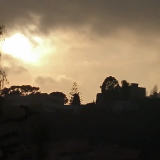 "Controluce" di Luciano Tomasi