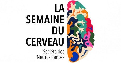 “La settimana del cervello”: un vasto programma di conferenze, mostre, proiezioni e seminari a Nizza intorno alla “cabina di regia” del corpo umano